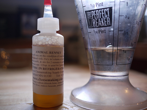 Rennet: What you need to know - John Eats Cheese